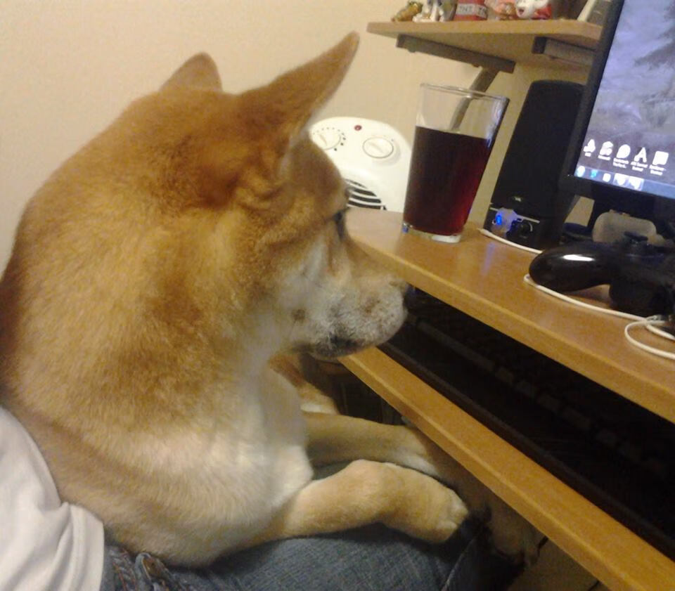 【伤病消息】主力投手因伤缺阵影响赛季