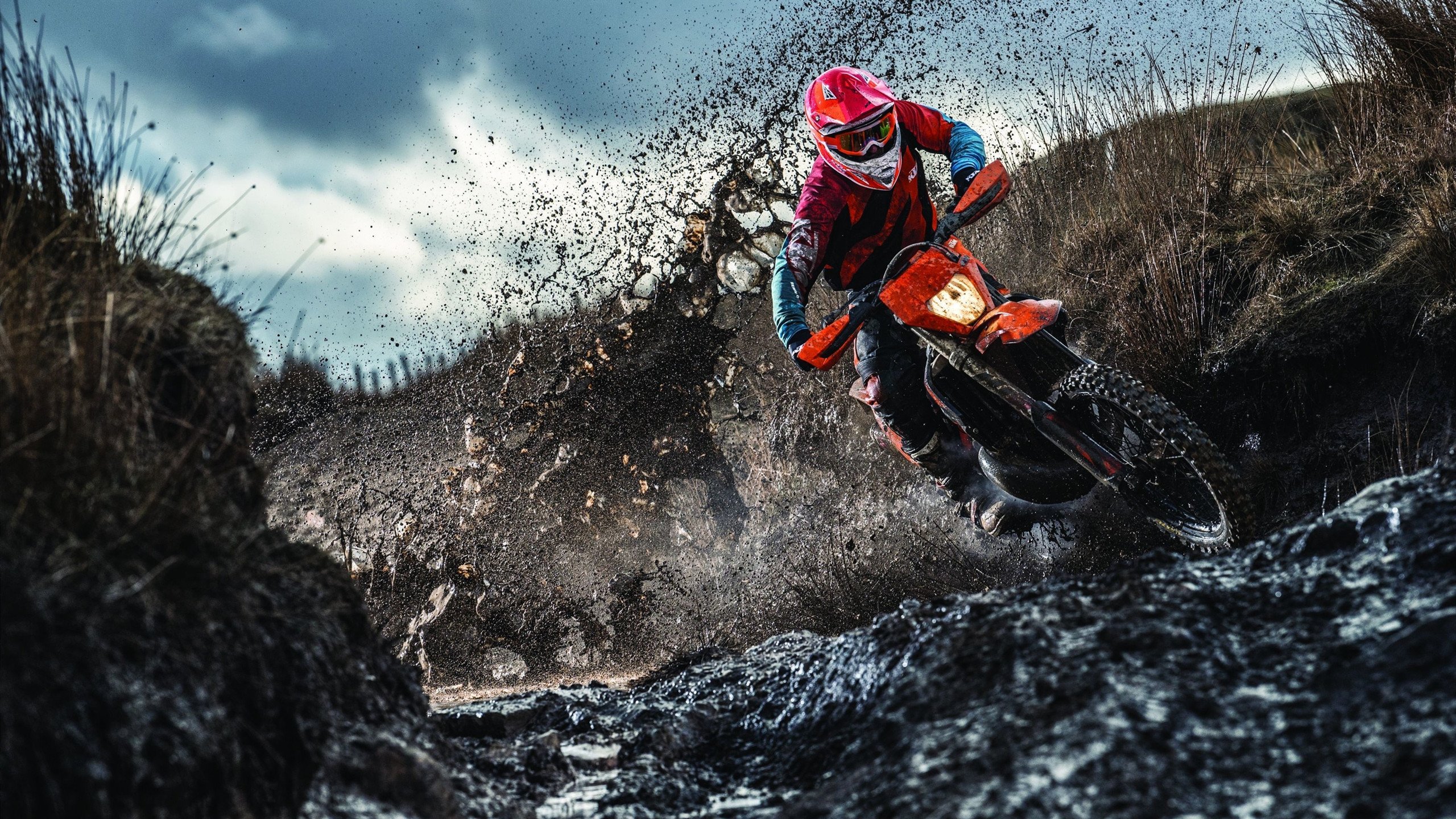 未来总冠军预测:哪些球队具备巨大潜力?,未来球王会是谁