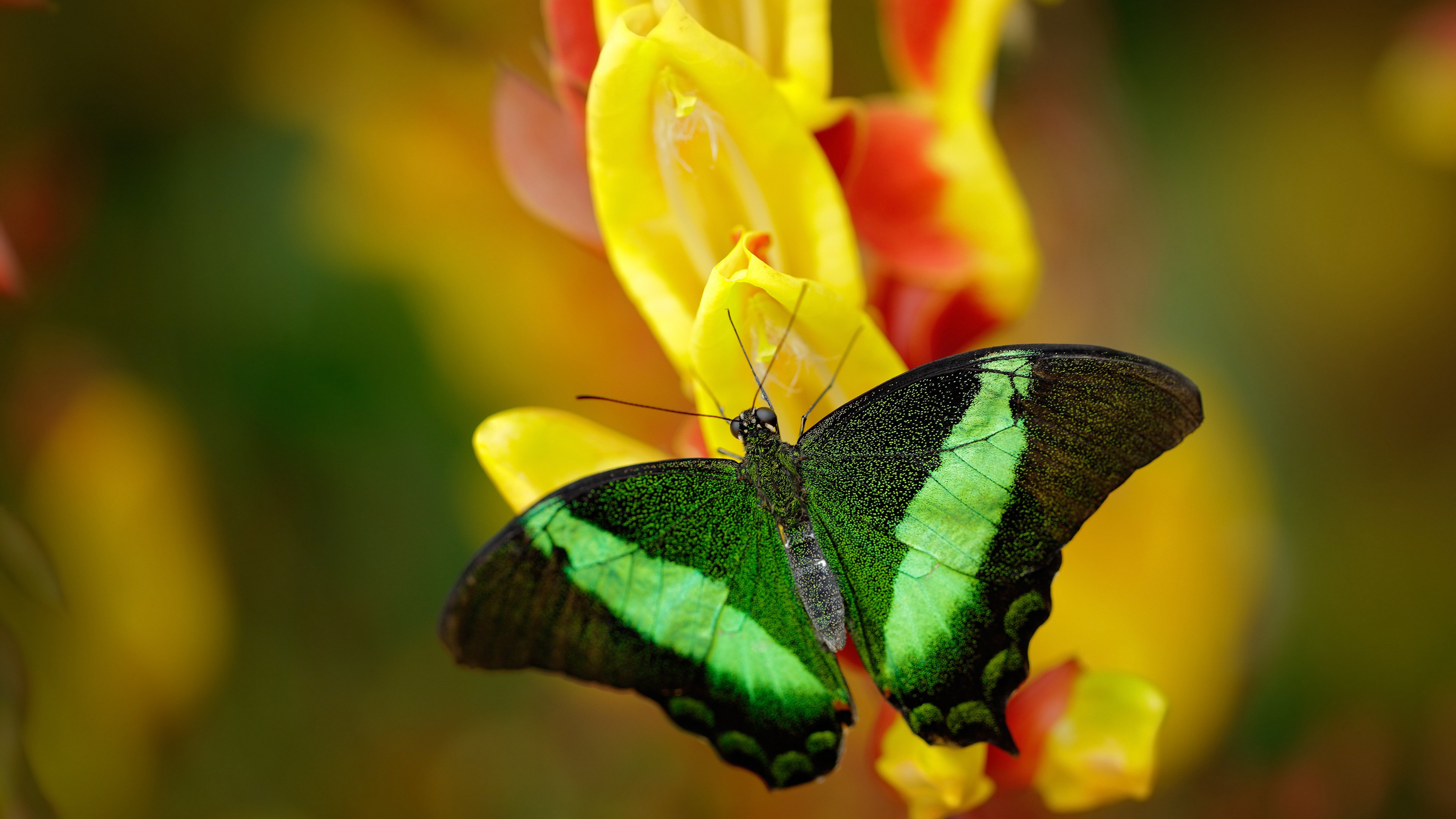 爱游戏-美国女足在巴黎奥运会比赛中以2-0战胜新西兰，奥运会美国女足2_0新西兰