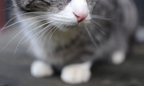 AYX体育-青年球员崭露头角，成为比赛最大亮点，青年球员合同