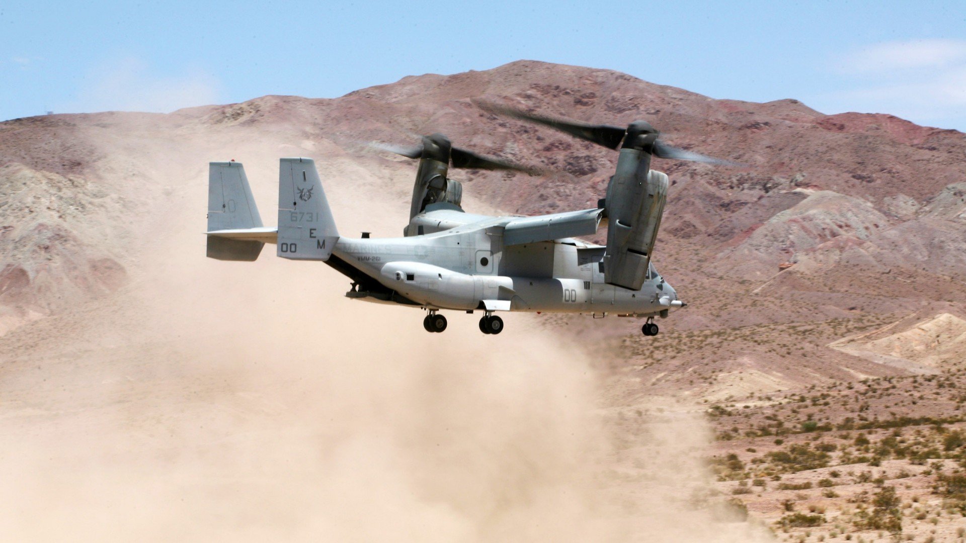 爱游戏官方-布莱顿球员配合默契，海鸥军团期待连胜势头，布莱顿引援