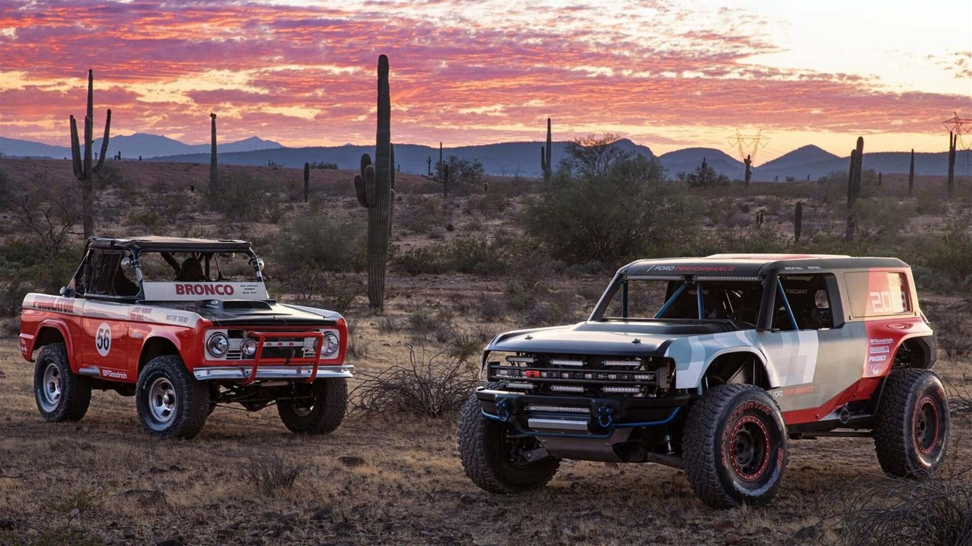 意大利豪强力克对手，赢得胜利领跑，意大利豪情红葡萄酒价格