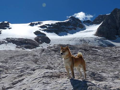 爱游戏 电竞-焦点电竞俱乐部资金注入动态，焦点科技股份怎么样