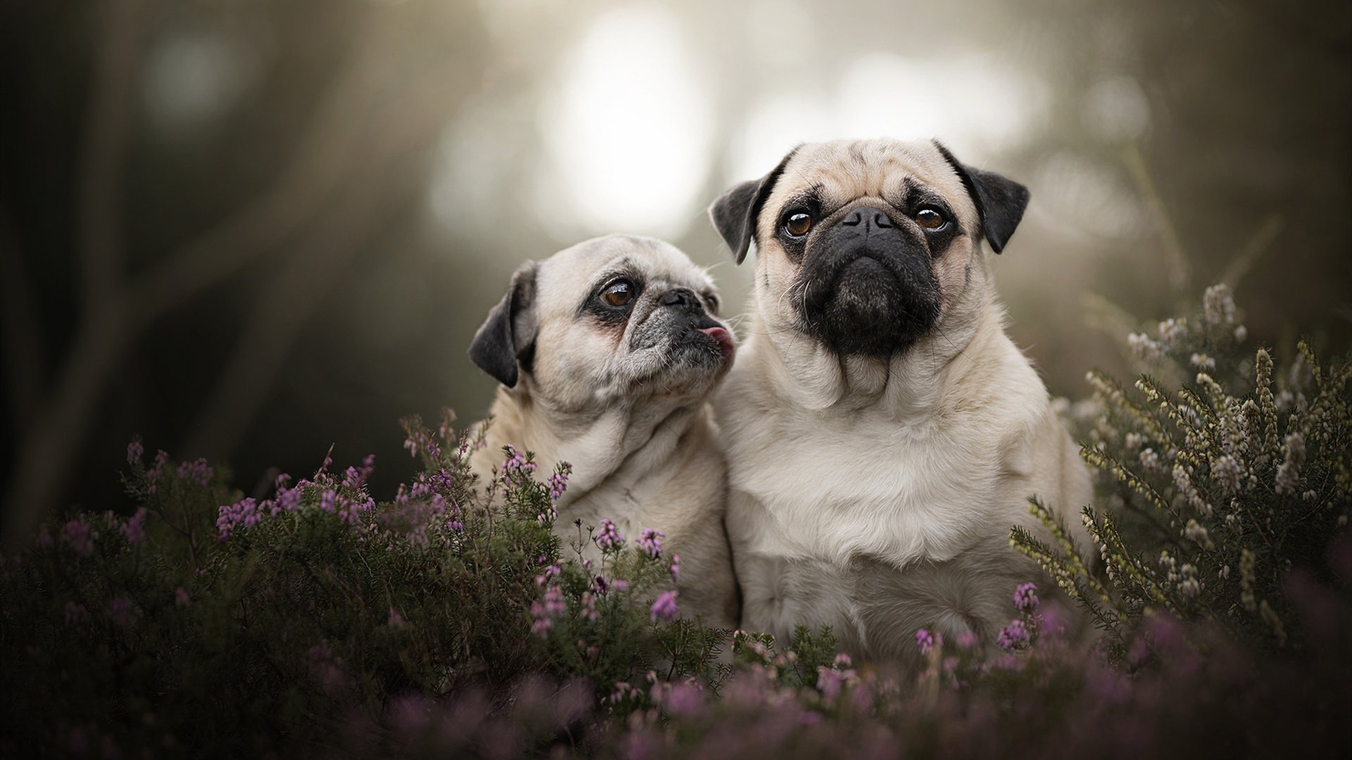 爱游戏娱乐平台-青队主帅公开表态，决心赢下下场比赛，足球中青队