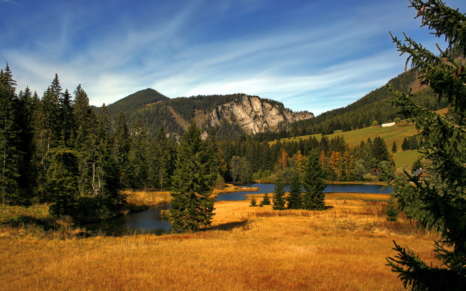 高校运动损伤风险评估模型构建，运动损伤风险筛查