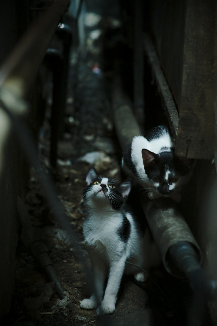 爱游戏平台-体育新媒体论坛探讨转播技术与内容融合，新媒体时代的体育新闻传播