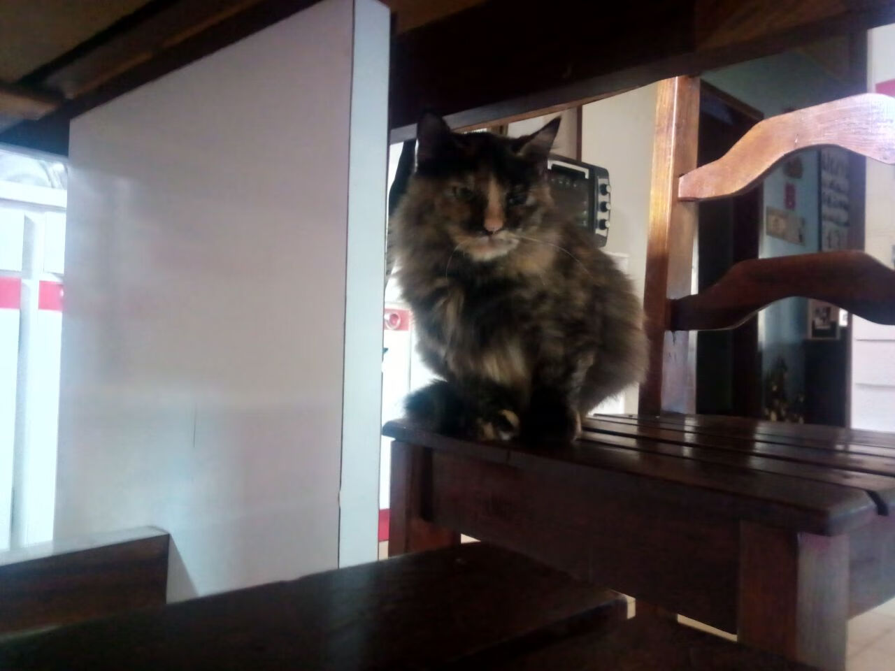 AYX GAMING-“马科斯·梅特罗的灵活性与判断力，为阿根廷美洲狮队打下坚实基础”