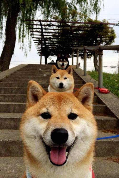 爱游戏app-塔特与袋鼠队队友的默契配合，助力球队征战橄榄球赛场