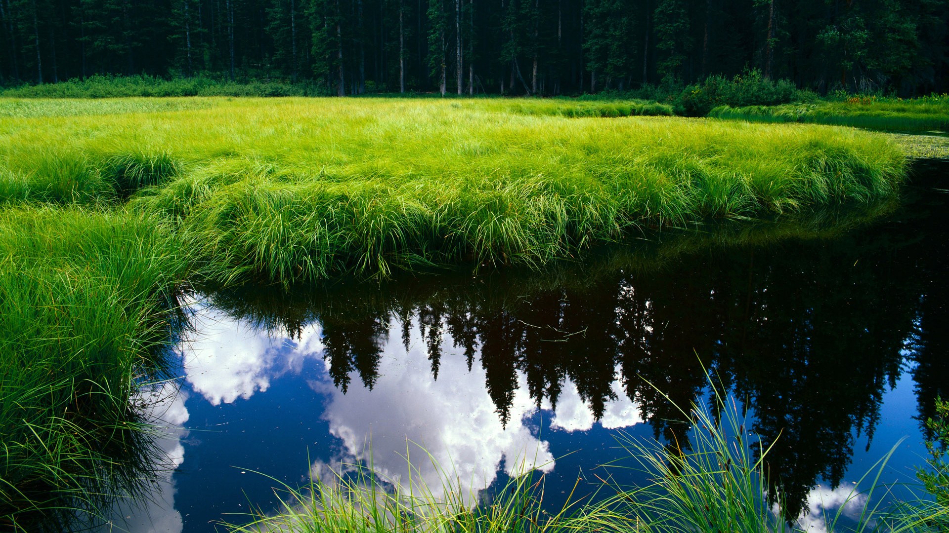 爱游戏综合娱乐-弗朗索瓦·霍尔茨豪伊泽：他的传球犹如精准利箭，为南非队锋线打开缺口