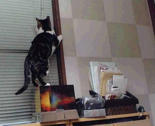 欧洲杯巅峰角逐:战术变化带来新惊喜,欧洲杯火爆