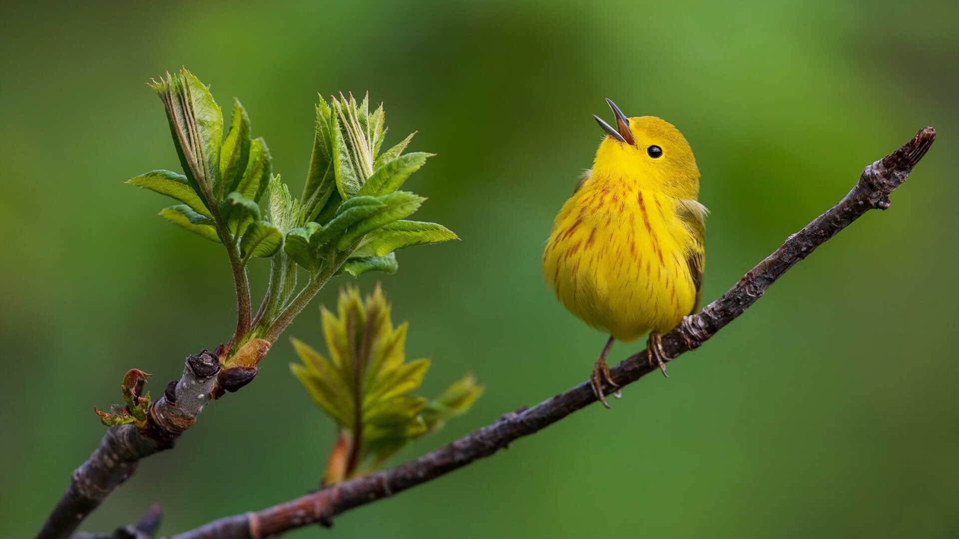 球队海外训练营回访,适应性训练成果明显,海外训练是什么意思