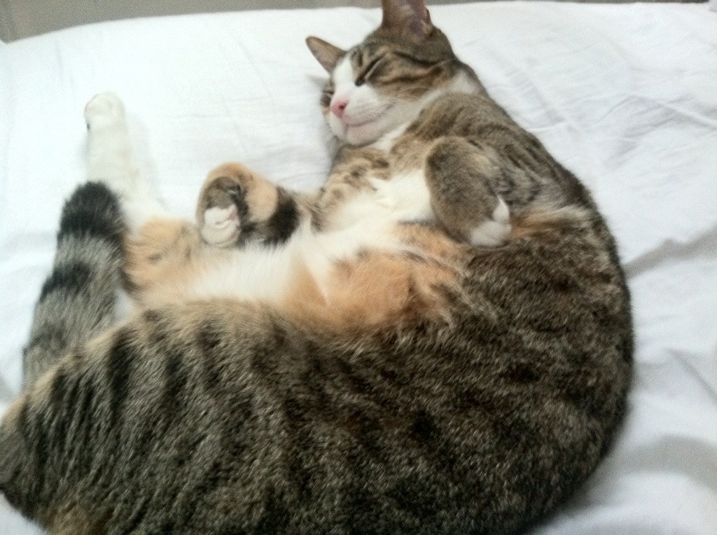 爱游戏下载-马克西姆·格鲁塞决赛展现强劲实力，马克西姆利鲁之歌